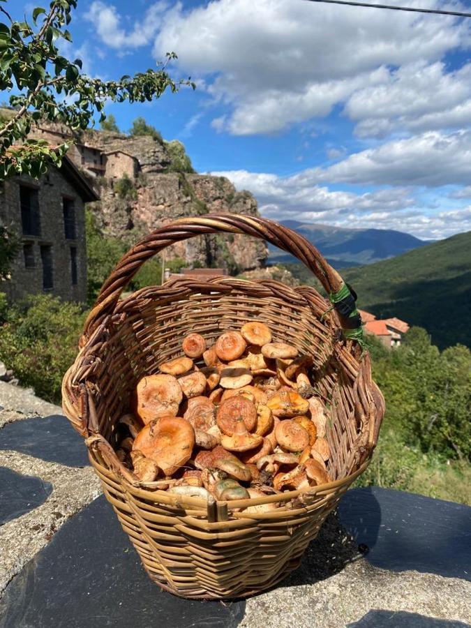 Cal Ferrer Habitatge Rural Villa Cava Kültér fotó