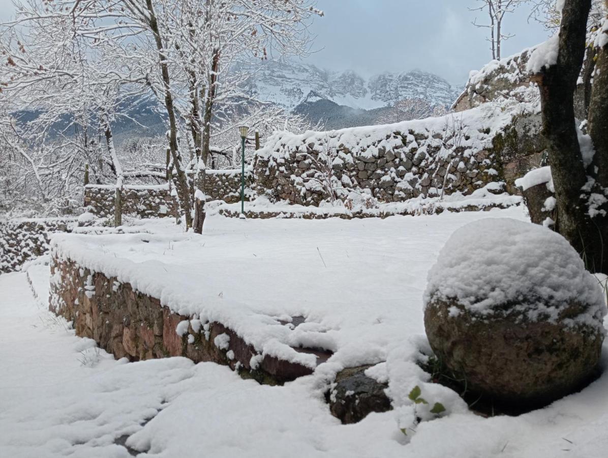 Cal Ferrer Habitatge Rural Villa Cava Kültér fotó